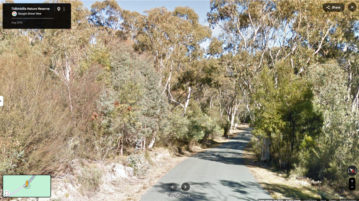 A visitor to a nature reserve in Australia filmed a swamp wallaby with abnormal fur, likely a “rare” case of acromelanism, officials said.