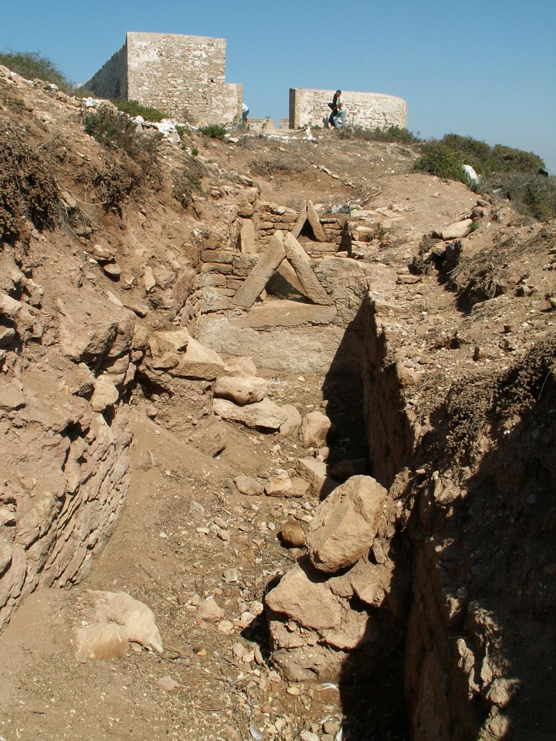 The marine fossils were discovered on Morocco’s Mogador Island in 2009 mixed among Roman artifacts, according to a study.