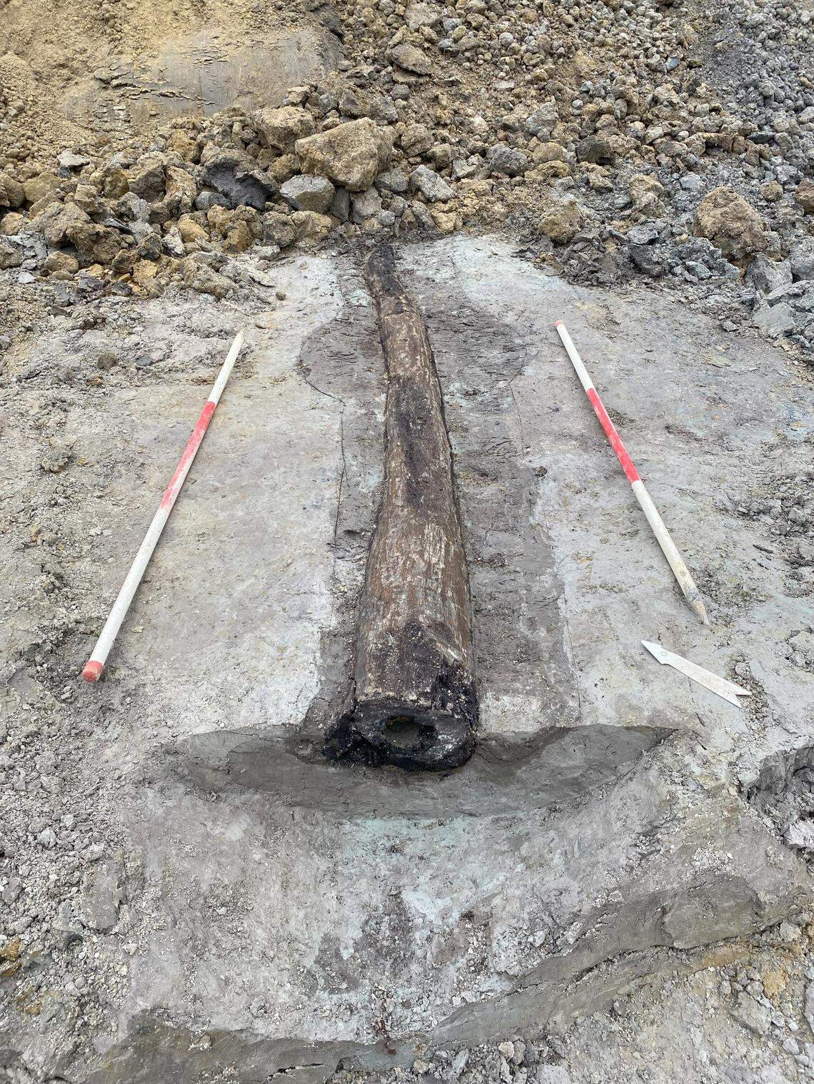 The 1,700-year-old wooden water pipe found in Leuven as seen from above.