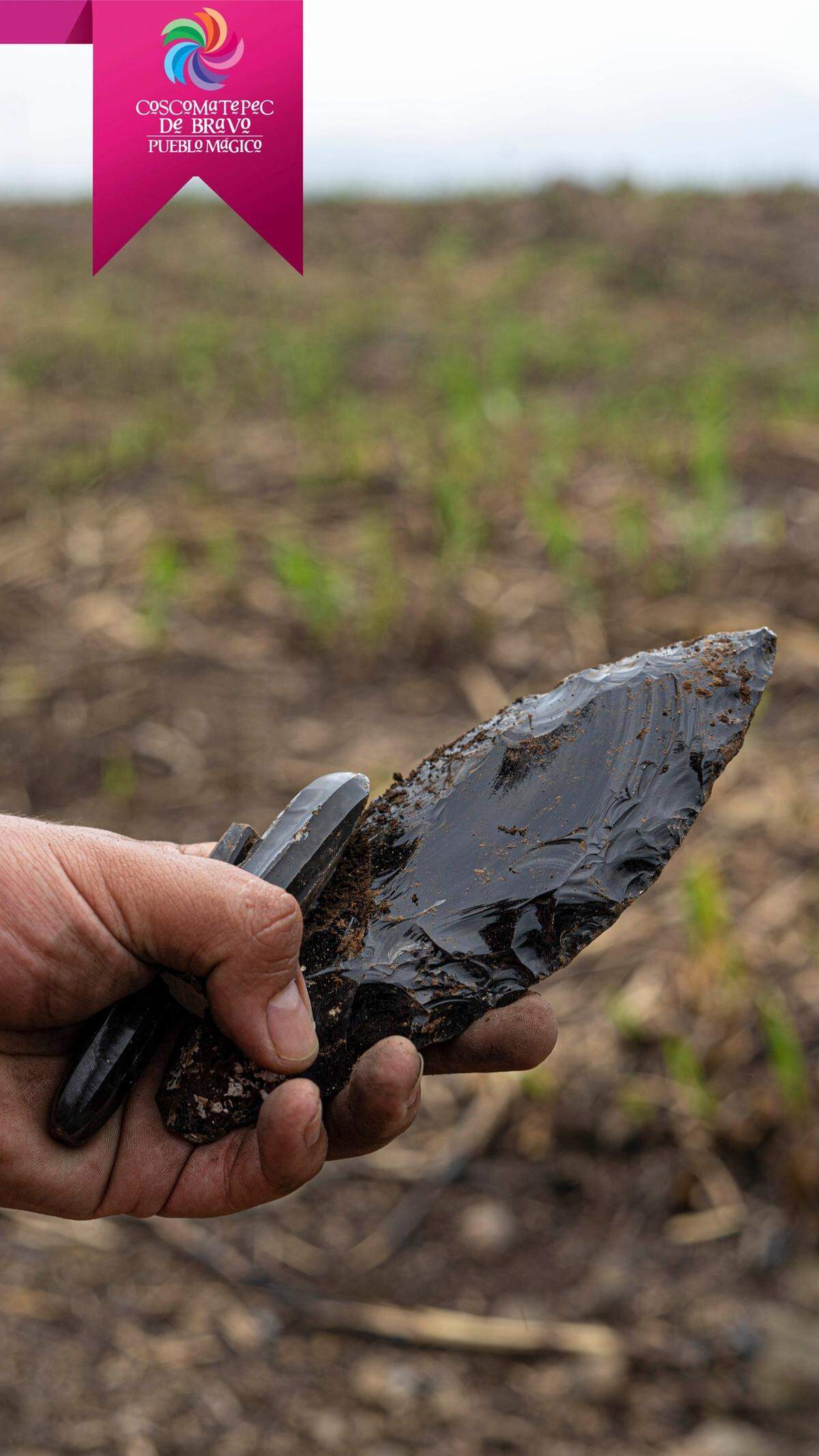 The two stone cores and obsidian knife found in Coscomatepec.