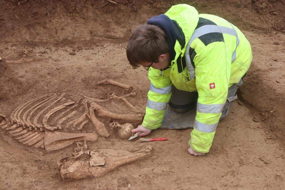 A 1,800-year-old horse found buried with several artifacts.
