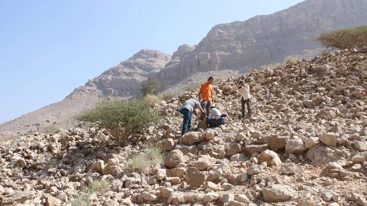 Archaeologists in Qumayrah uncovered dozens of structures from the Bronze and Iron Age. Photos show ruins that were up to 4,000 years old.