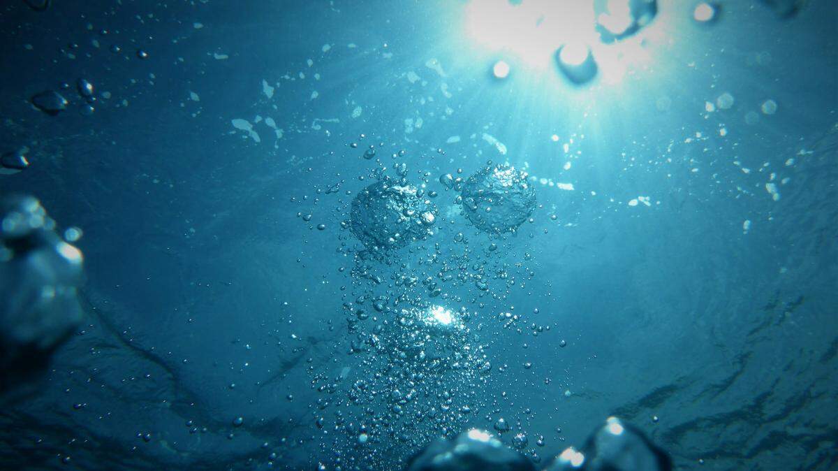 Researchers inside a deep-sea vehicle collected sea cucumbers from the seafloor, then discovered two new species.