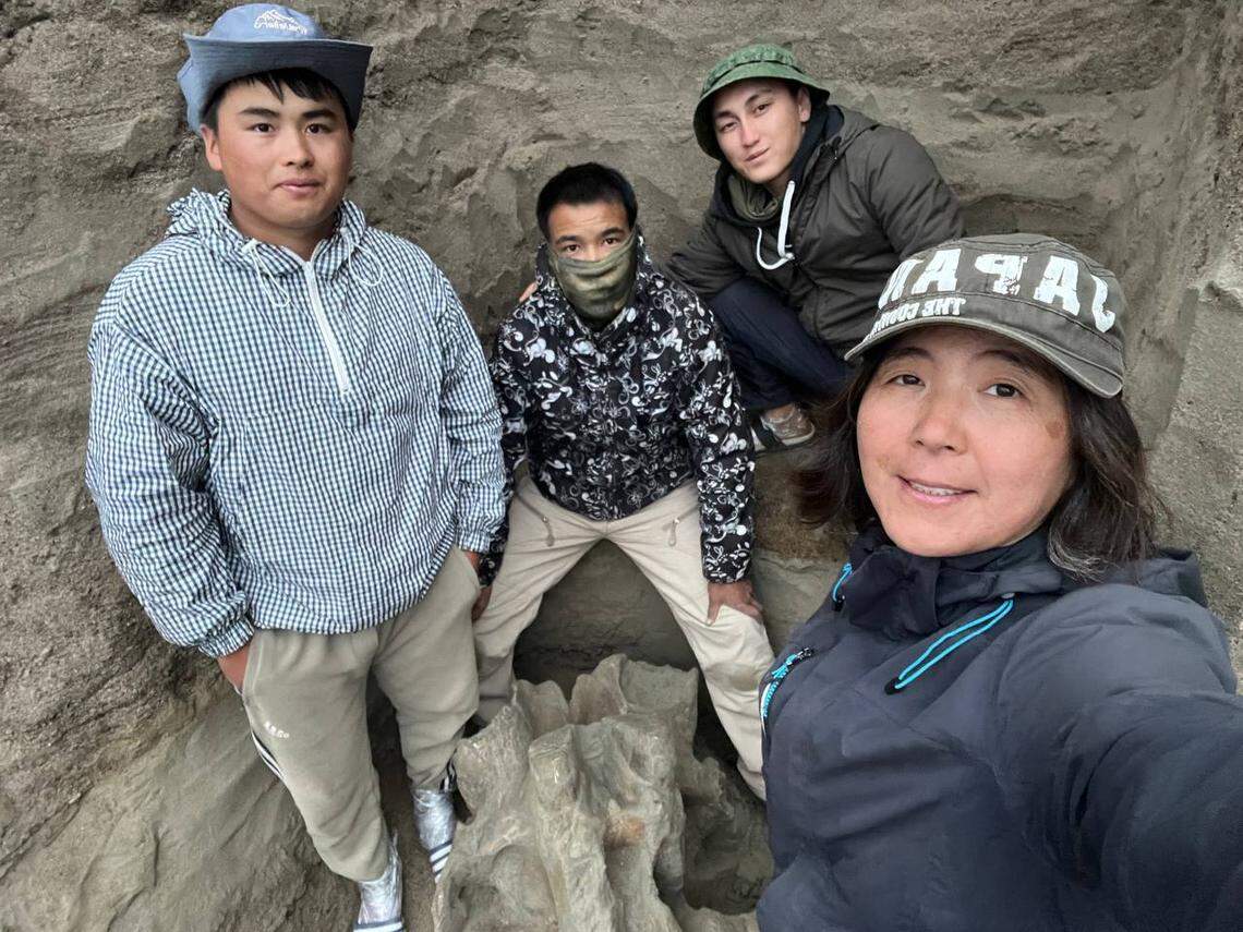 Archaeologists stand around the partial mammoth skull.