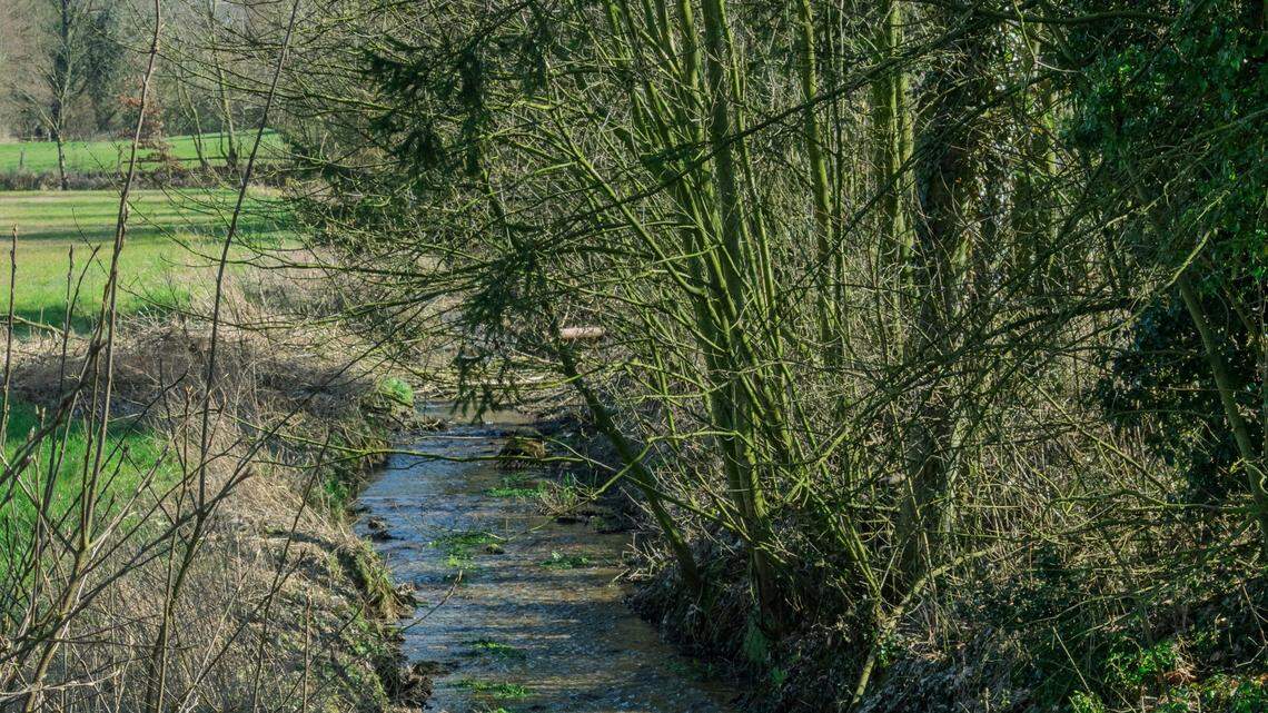 The unusual 8-sided style of ring was sometimes made with precious metals, experts said.