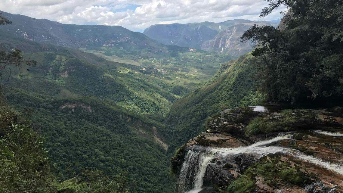 Scientists found a spiky “blue-headed” animal sleeping in the mountains of Peru and discovered a new species, a study said. Photo shows a representative area of Peru.