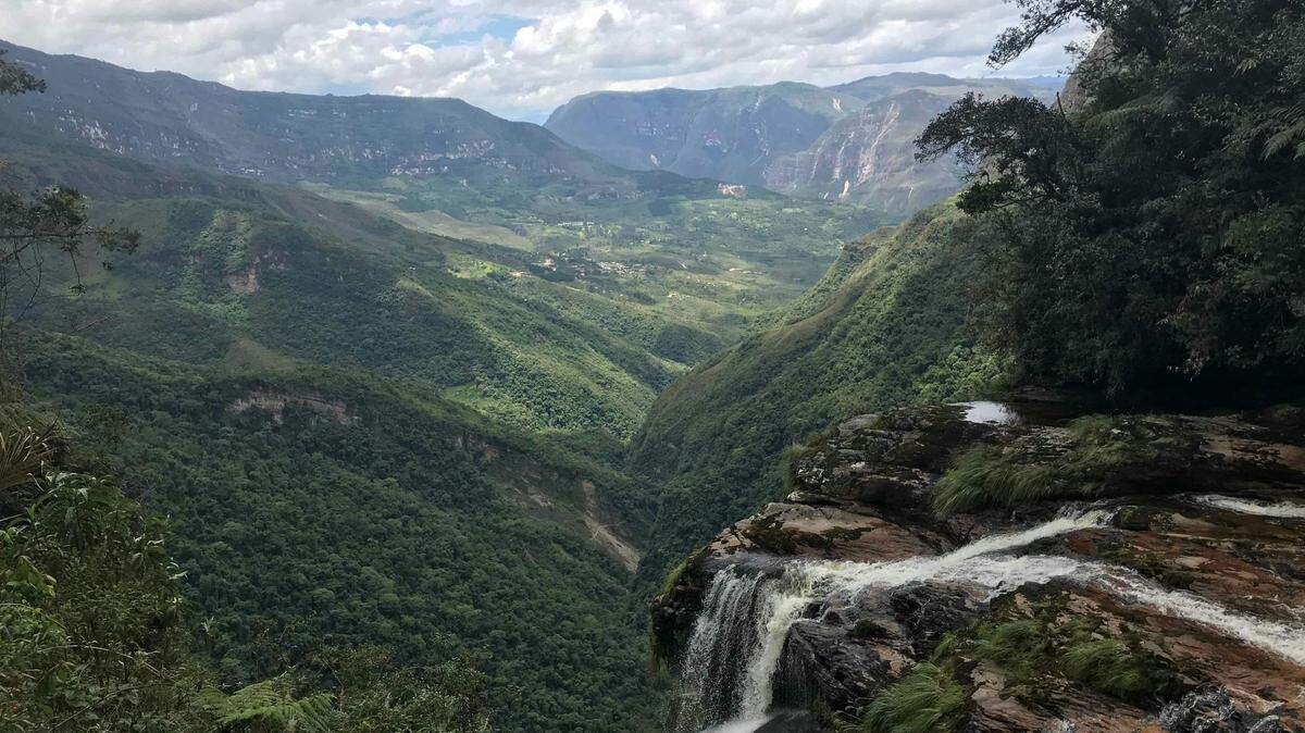 Scientists found a spiky “blue-headed” animal sleeping in the mountains of Peru and discovered a new species, a study said. Photo shows a representative area of Peru.