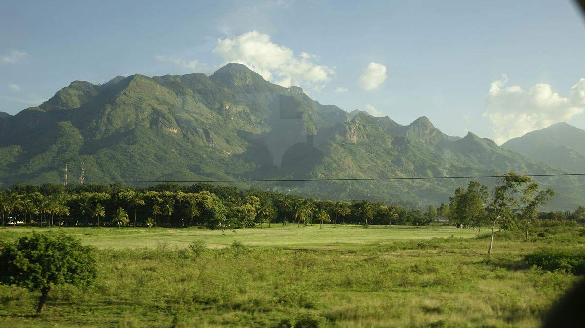 Scientists found an “alien-faced” animal on a mountain in Tanzania and discovered a new species, a study said. Photo shows a representative mountain.