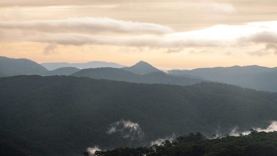 The two new “large” species were discovered in the central highlands and northern forests of Vietnam, according to a study.