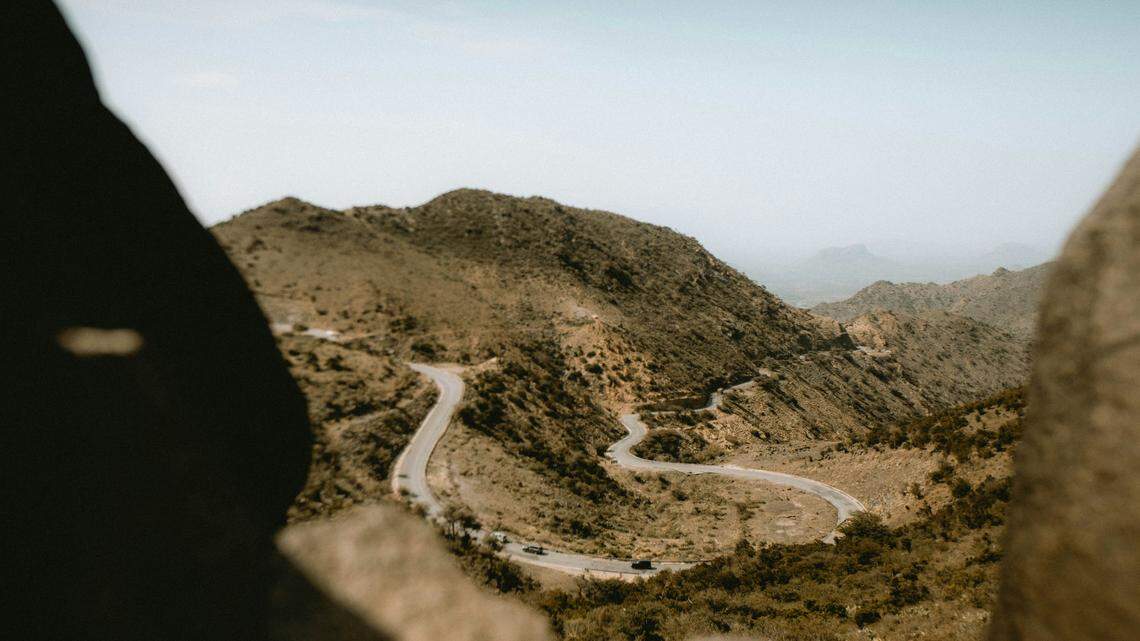 Scientists found a young dark-colored creature in Somaliland and discovered a new species, a study said and photo shows.