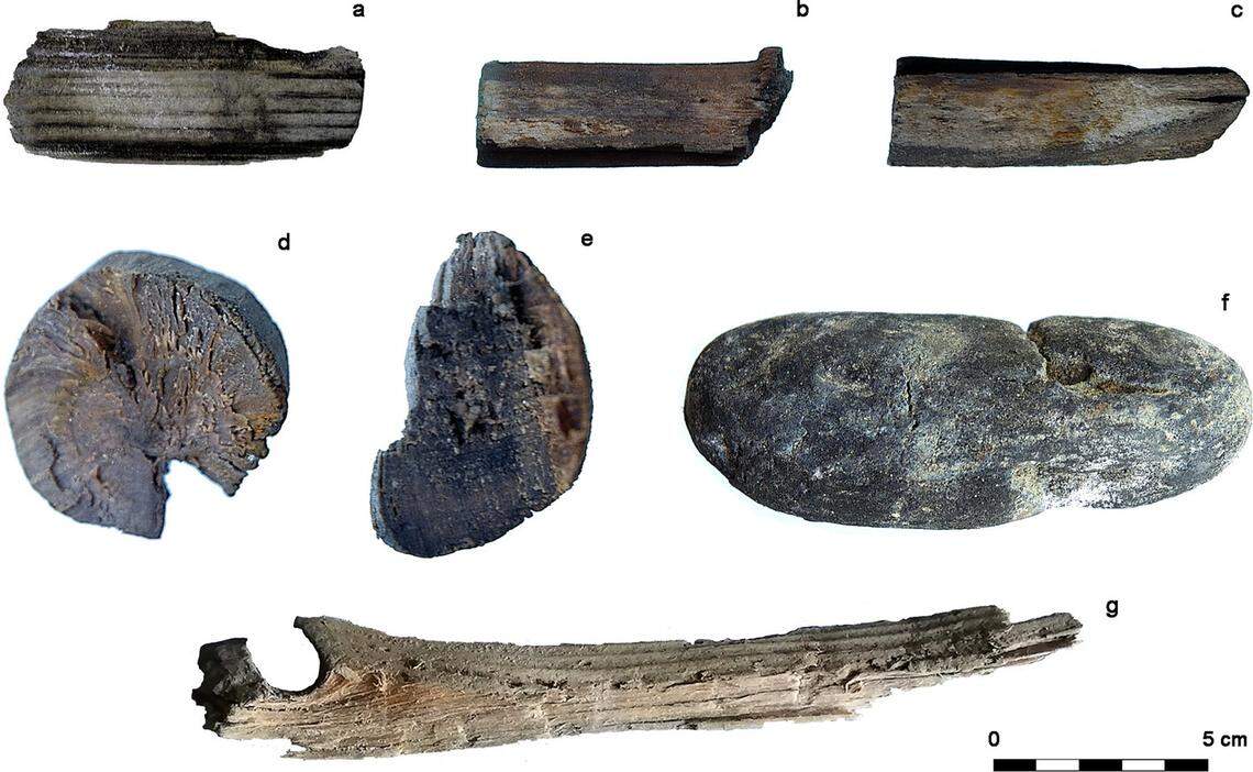 Some wood fragments from the Zaghemarz shipwreck.