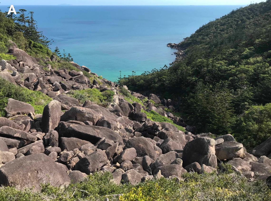 A scientist found a “smooth” creature with colorful orange sides “basking” in the sun on an Australian island and discovered a new species.