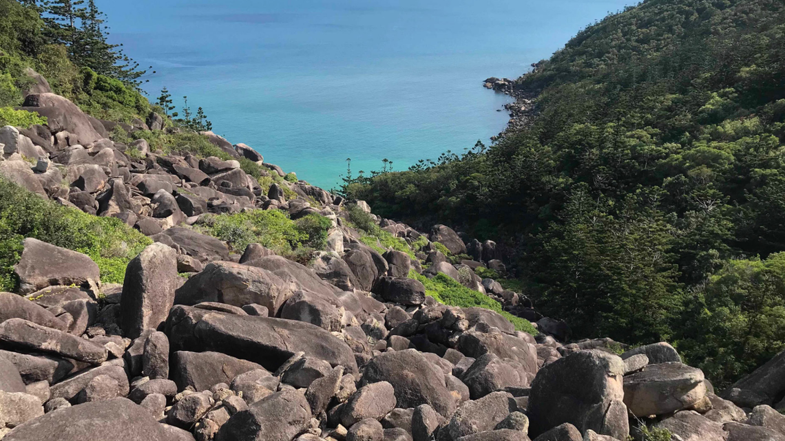 A scientist found a “smooth” creature with colorful orange sides “basking” in the sun on an Australian island and discovered a new species.