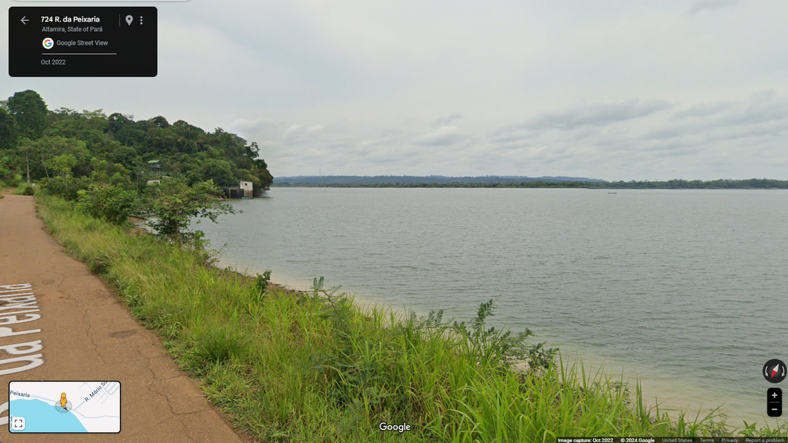 Divers caught a carnivorous animal with a spiky body in the depths of Xingu River. Scientists identified the catch as a new species.