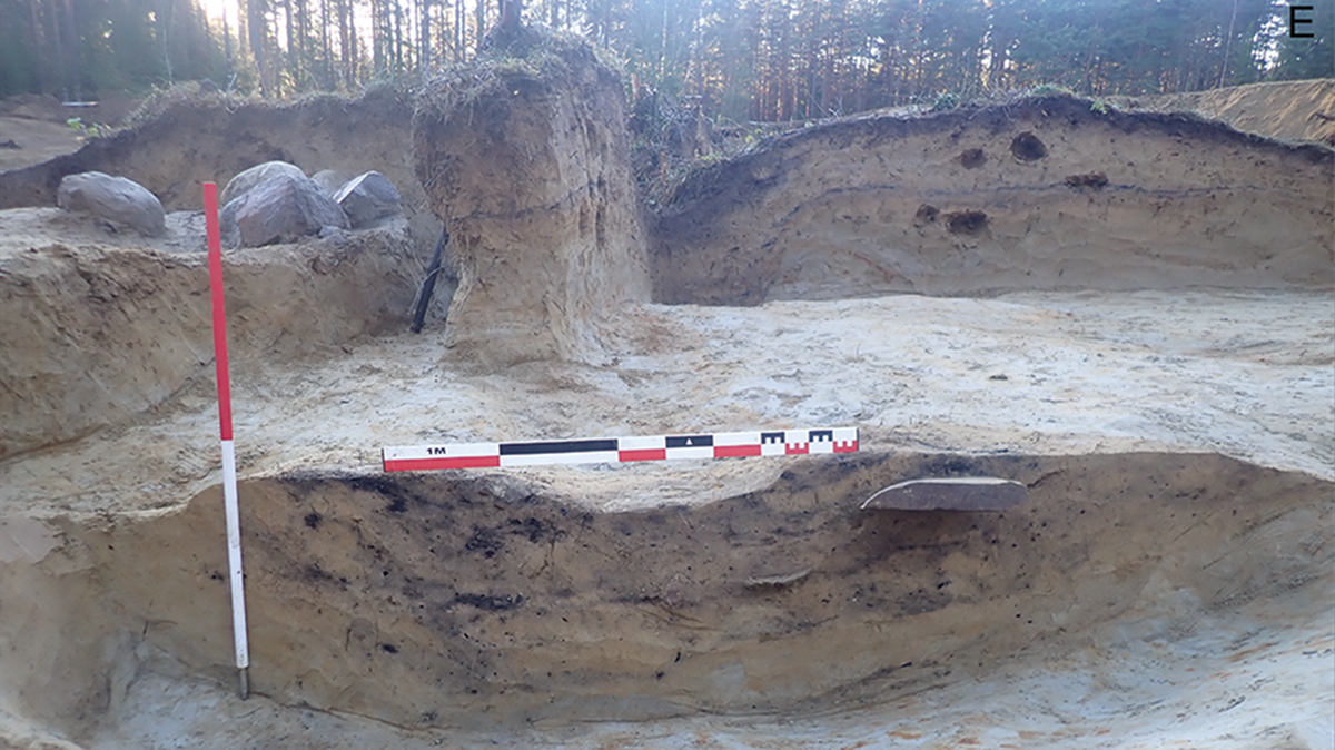 Archaeologists in Hole, Norway, unearthed 12 fragments of a carved standing stone, identified as the world’s oldest rune stone, a study said.