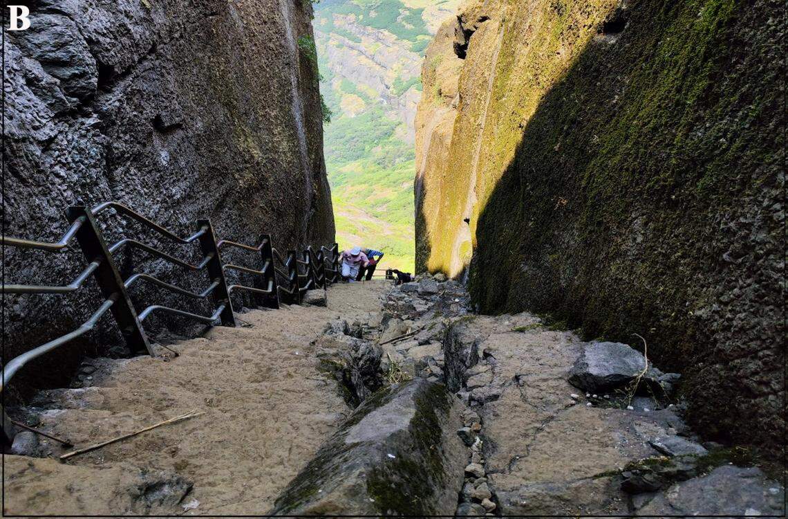 Scientists found a “dwarf”-like creature perched on the rock walls of a cliff in India and discovered a new species, a study said.