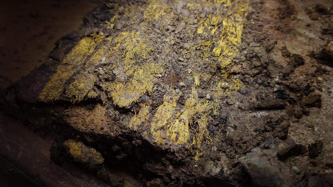 Archaeologists in Autun, France, found rare fabric fragments, including a large purple piece, woven with gold threads in several ancient tombs.