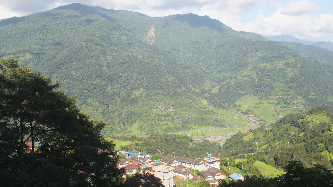 Scientists found a “slender” creature, “very sensitive to flashlights,” on a roadside in Nepal and discovered a new species, a study said.