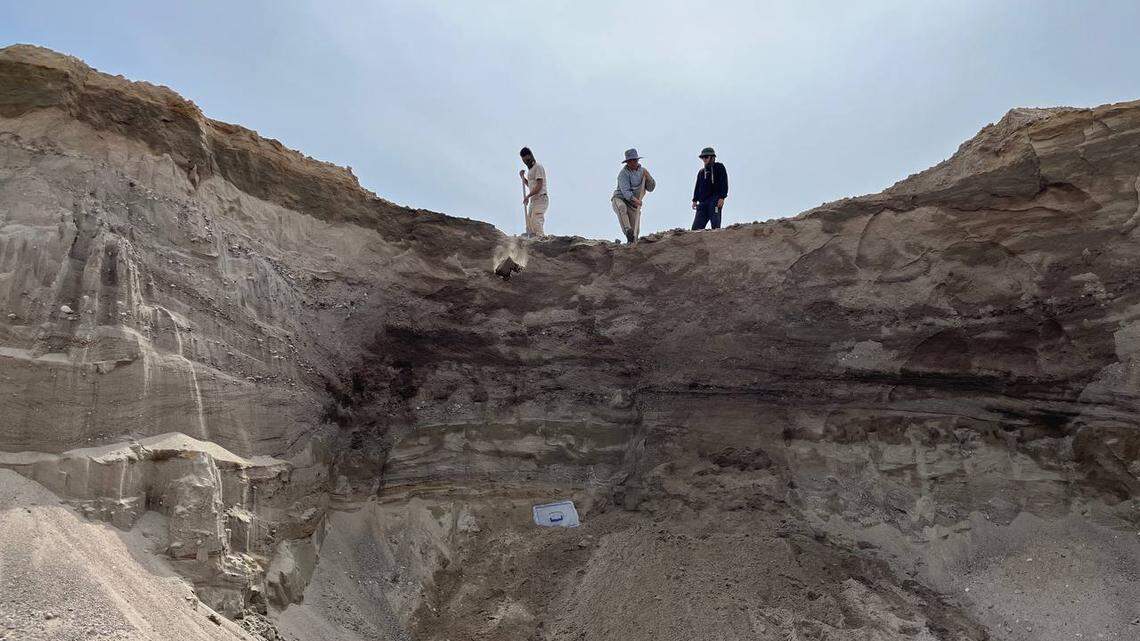 Workers and archaeologists digging in an Ak-Suu district quarry found several large mammoth bones including a tusk, jawbone and skull, photos show.