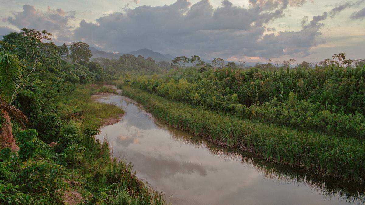 Scientists found a predator with “sharp” teeth and white eyes in a river of Bolivia and discovered a new species, a study said.