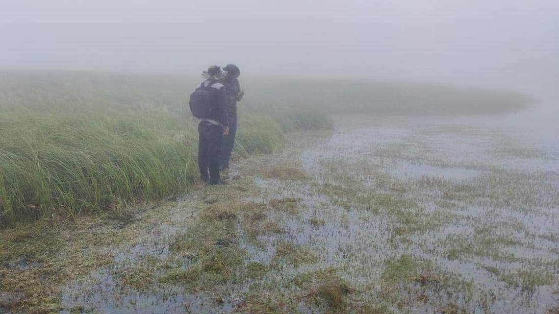 Scientists found hundreds of wart-covered animals lurking in lakes of Manipur, India, and discovered a new species, a study said.