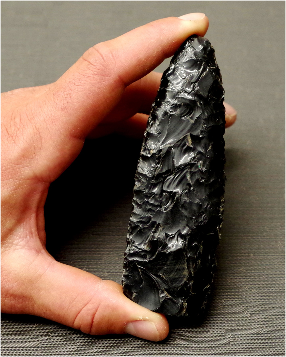 An obsidian spear head from the Red Deer area.