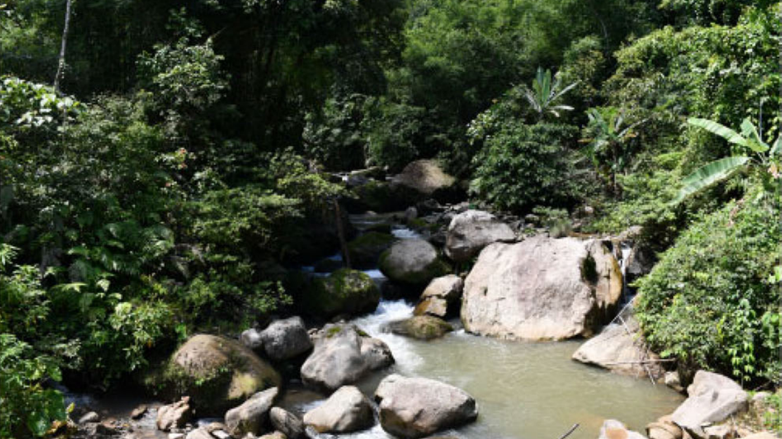 Scientists found a wrinkly animal near mountain streams of Arunachal Pradesh and discovered a new species, a study said.