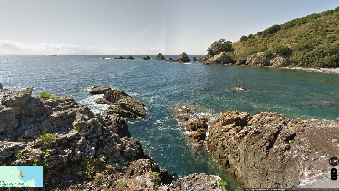 The adult pūriri moth was seen sitting among dozens of her tiny eggs on Tiritiri Matangi Island, wildlife experts said.