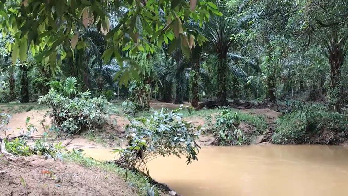 Scientists found a colorful animal in a river of Myanmar and discovered a new species, a study said. Photo shows a representative area of the Kra Buri river.