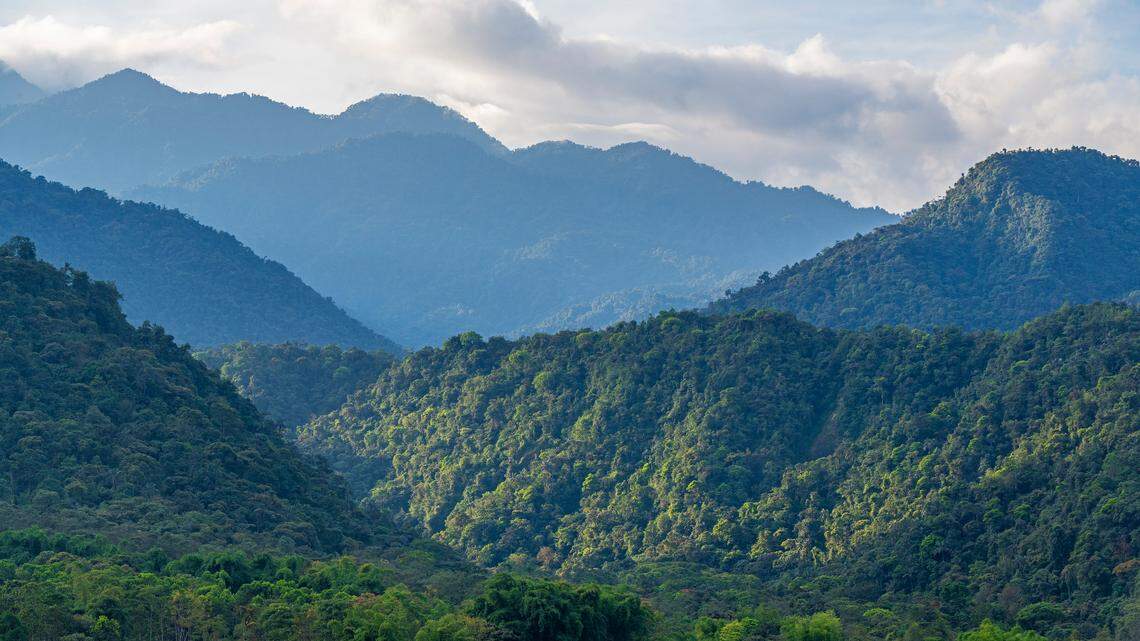 Much of what is known about the species has been learned from preserved specimens rather than fieldwork, researchers said.