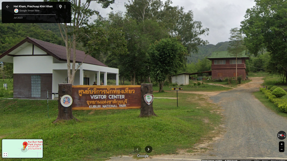 A trail camera at Kui Buri National Park recorded the reserve’s first sighting of a “rare” predator in over 10 years, officials said.