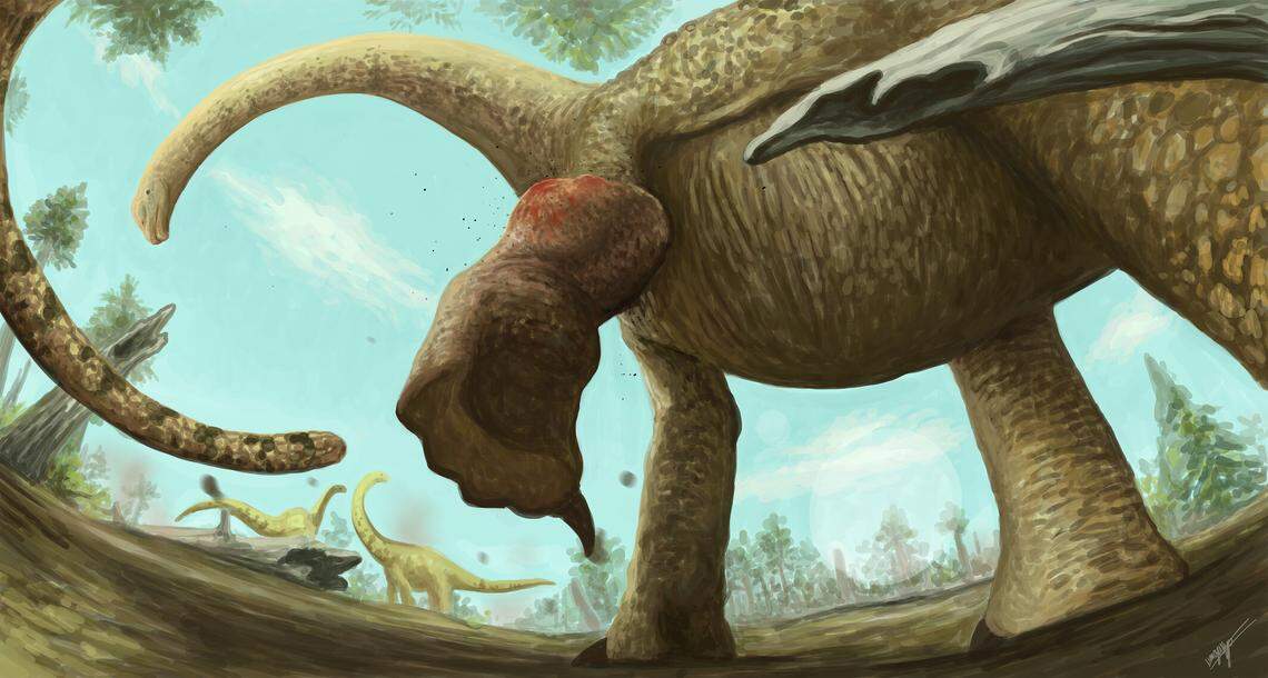 The young mamanchisaurid would have likely experienced “severe” pain from the size and location of the bone tumor, researchers said.