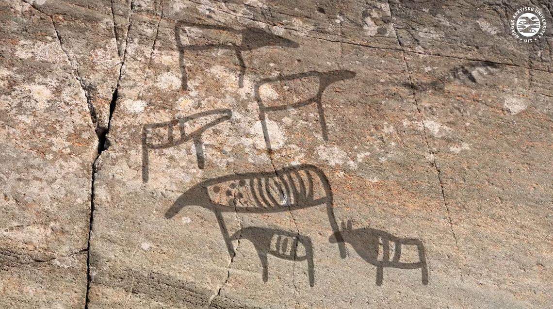 Outlines show some of the 6,000-year-old animal carvings.