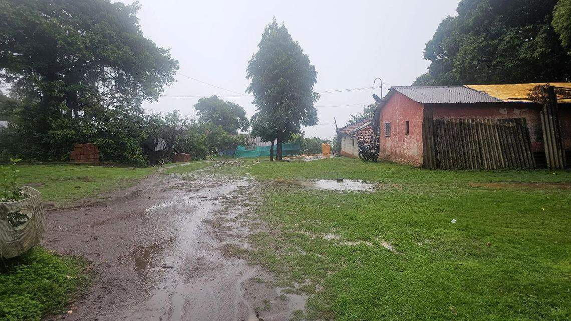 Scientists found a “large” creature with “golden” eyes outside a home in India and discovered a new species, a study said.