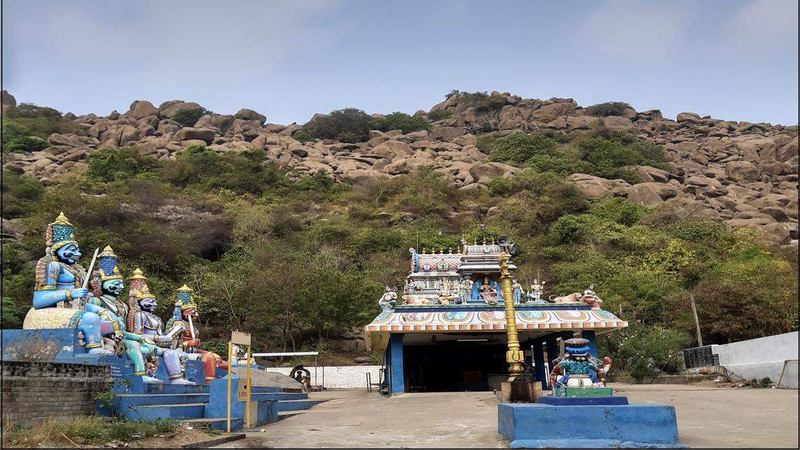 Scientists found a pregnant “bronze” animal in a forest of Tamil Nadu and discovered a new species, a study said.