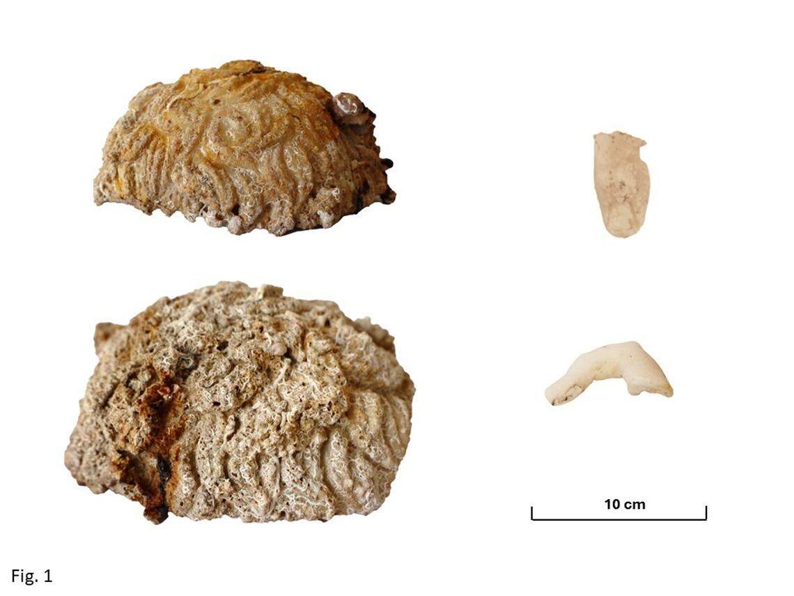 Some of the marble sculpture fragments found at the shipwreck.