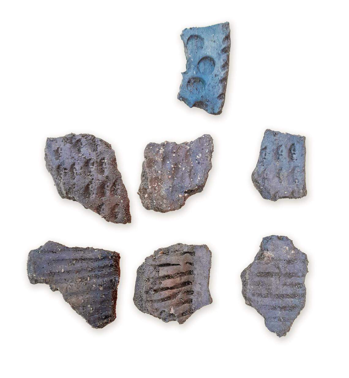 Pottery fragments found at the Neolithic site.