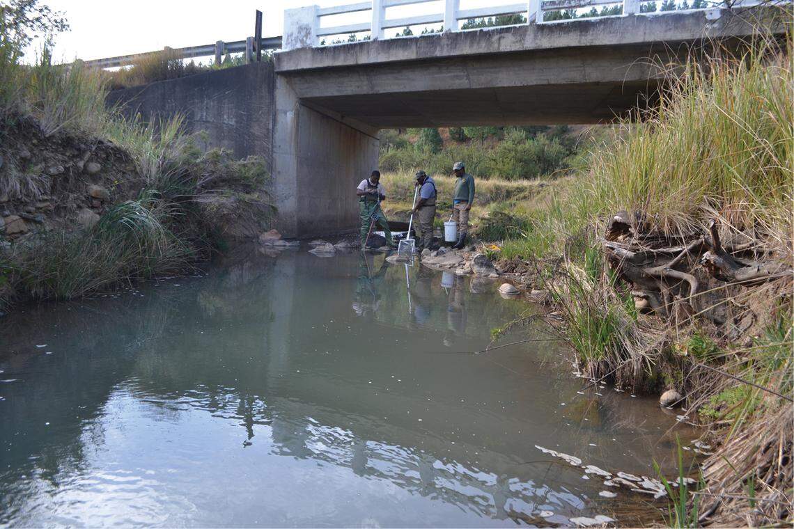 Scientists searching for an extinct fish found a “large”-headed river creature and discovered a new species, a study said and photos show.