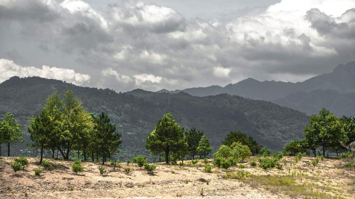 Scientists in China found a 1-foot reptile with “blood-red” eyes in an “extremely rare” sighting of a wild albino snake, a study said.