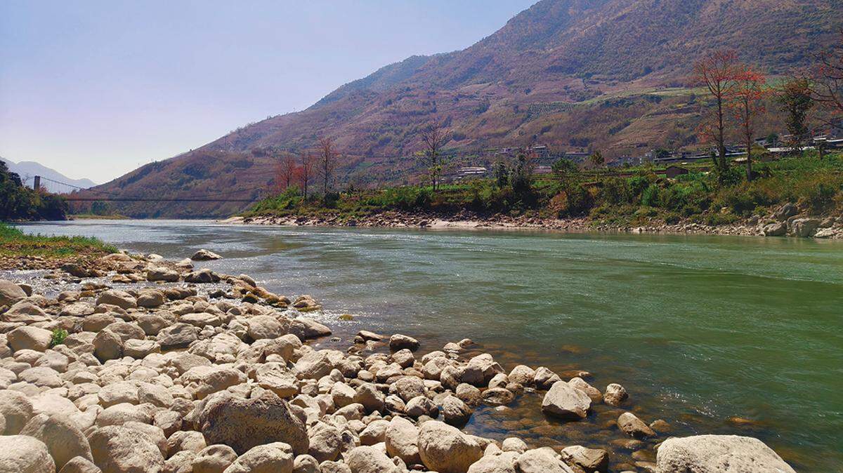 Scientists found a large river predator, weighting up to 220 pounds, in China and discovered a new species, a study said and photos show.