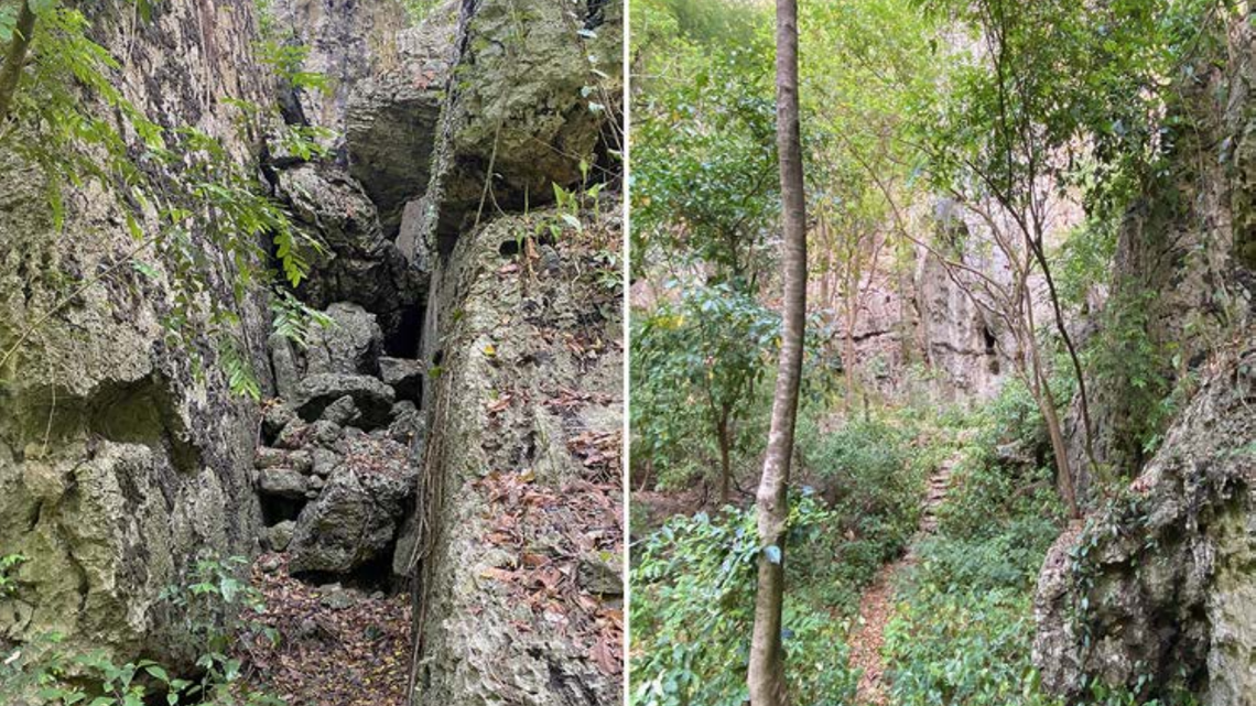 Scientists found a “leaf-toed” creature with “reddish”-gold eyes “wandering” at night in Cambodia and discovered a new species, a study said.