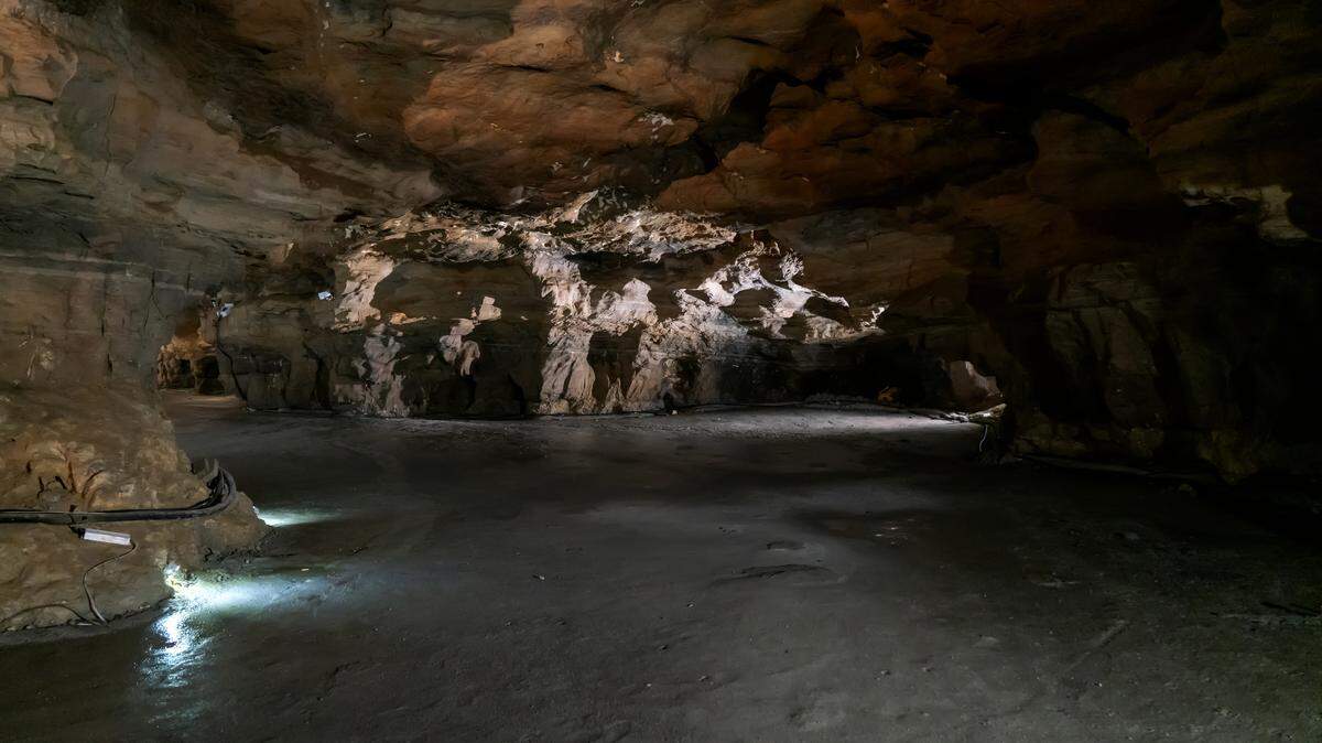 Scientists found a “smooth” river creature with an “elongated” nose in a cave of China and discovered a new species, a study said.