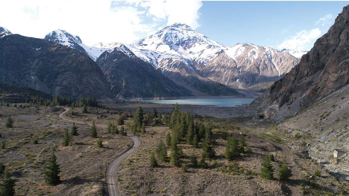 Scientists found “rare” seasonal animals courting in the Andes Mountains and discovered a new species, a study said.