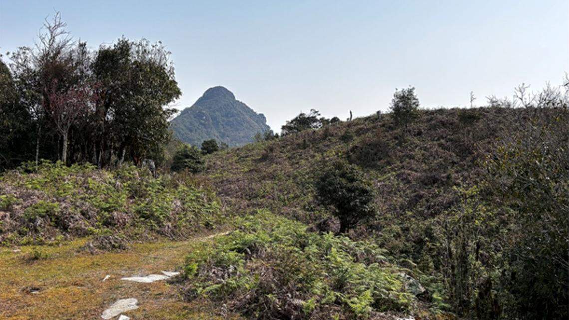 Scientists found a hibernating creature with “sharp” claws on a mountain in Vietnam and discovered a new species, a study said.