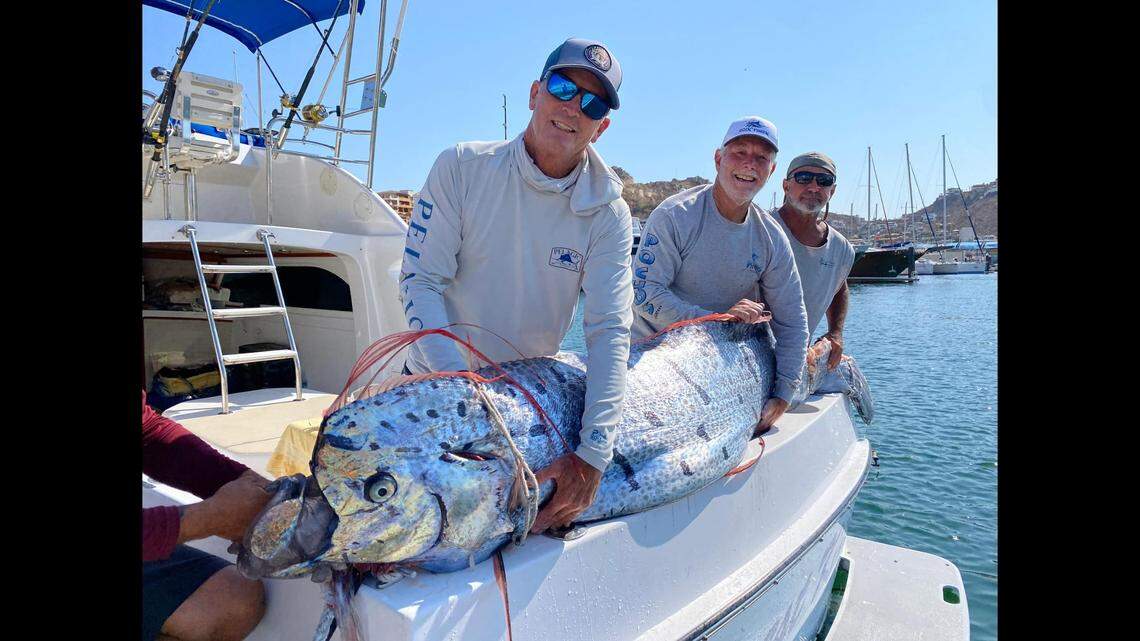 Anglers off the coast of Mexico caught a 9-foot-long oarfish after seeing the “shimmering” animal being chased by sharks, videos and photos show.