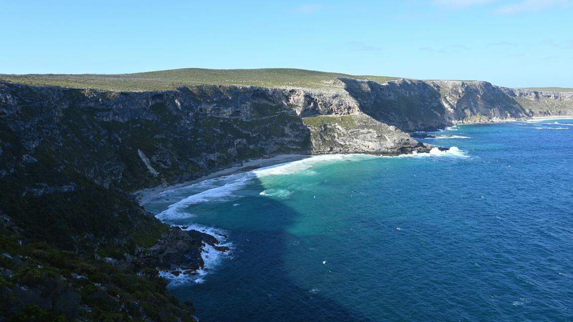 Scientists found a “cryptic” animal with gold eyes and discovered a new species, a study said. Photo shows a representative area of Kangaroo Island.