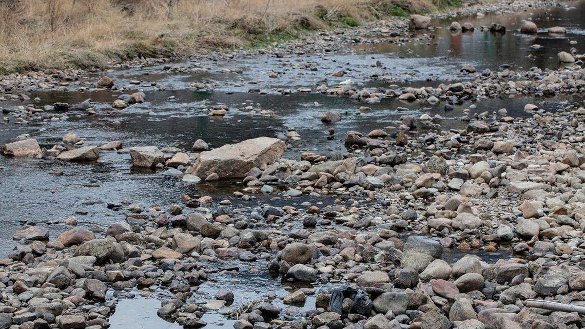 Scientists found an albino fish and similar brown fish in the Tiaoxi River and discovered a new species, a study said.