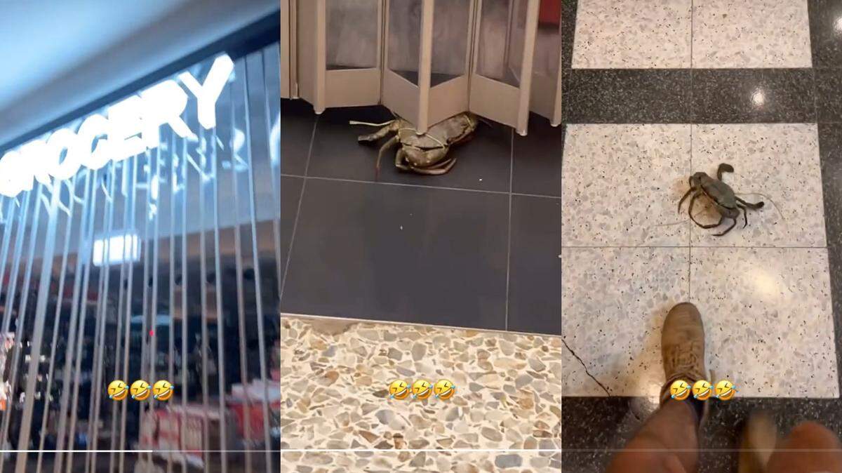 A pair of crabs tried to escape from a grocery store in Darwin, a TikTok video shows.