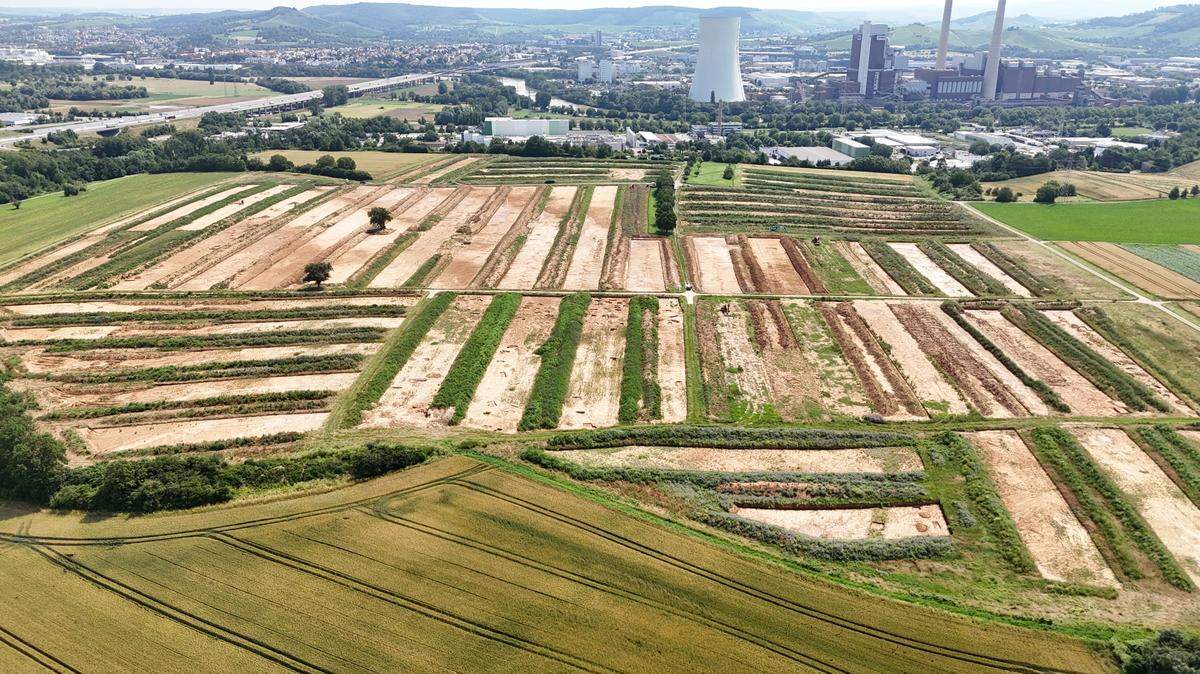 Archaeologists searching for a rumored Roman estate in Neckargartach unearthed an ancient Roman highway and roadside town with a temple.