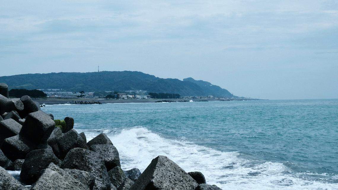 Scientists found a 10-armed sea animal with “dotted” coloring hiding under a rock and discovered a new species, a study said.